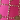 Bright Pink/Ivory
